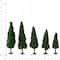 Mini sapins d’Ashland